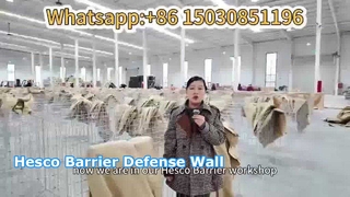 Hesco Barrier Defence Wall